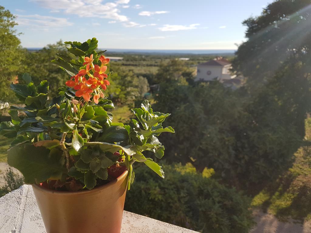 Apartman Andela Labinci Zewnętrze zdjęcie